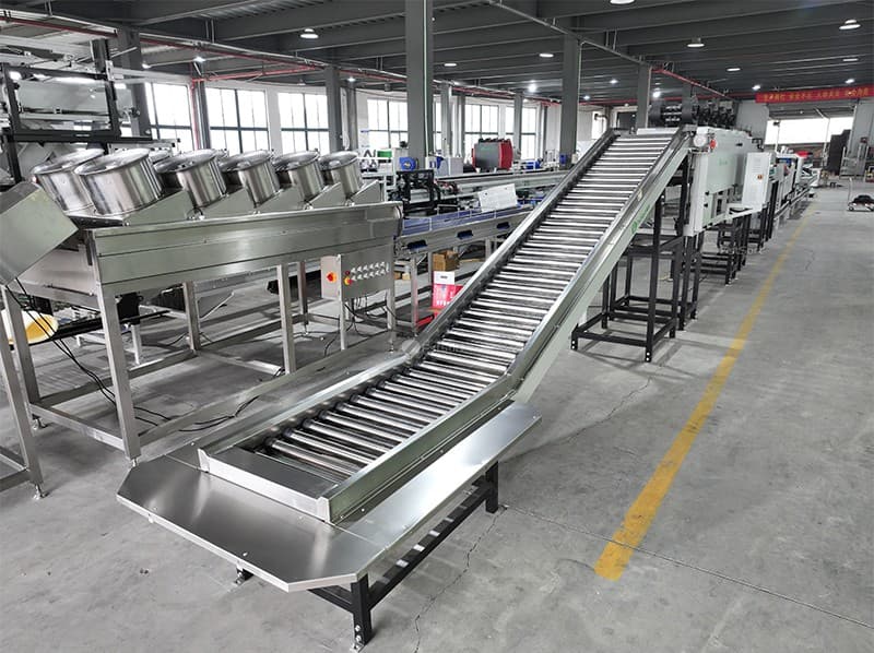 fruit sorting grading machine.jpg